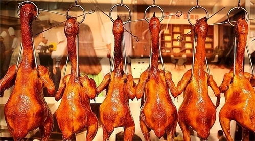 养鸡第一大省吃鸡究竟有多猛 探秘家禽消费的饮食文化