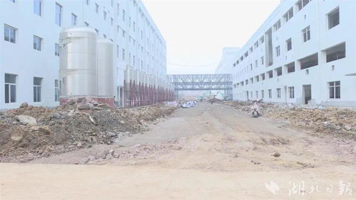 开足马力，湖北回盛生物两大项目预计7月投产，赋能家禽产业升级